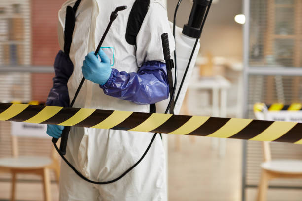 Professional Hoarding Cleanup technician working in Farmland, IN